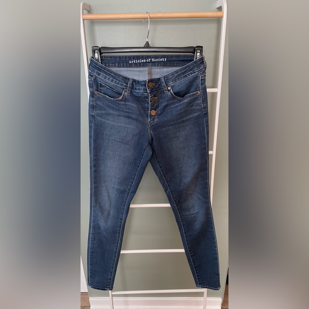 Articles of Society, button fly skinny Jean, size 27